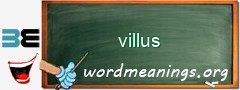 WordMeaning blackboard for villus